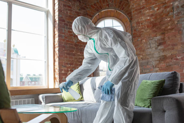 Best Mold Prevention Services in USA